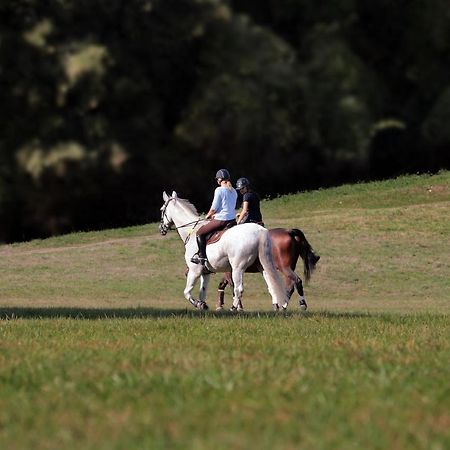 Ferienwohnung Herzallerliebst Bad Lauterberg Buitenkant foto